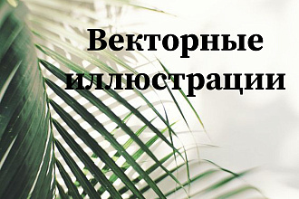 Создаю векторные иллюстрации