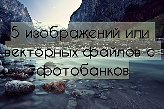 5 любых фото с платных фото банков в максимальном качестве