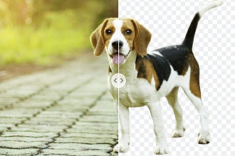 Удаление фона с фото