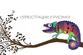 Нарисую иллюстрацию