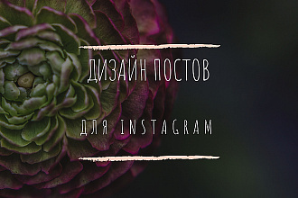 Создам дизайн постов в Instagram