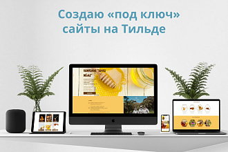 Создам и настрою одностраничный сайт на Тильде