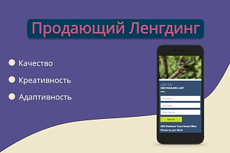 Создание красивого и продающего лендинга с нуля
