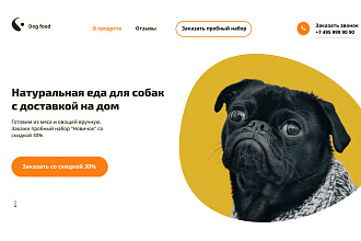 Лендинг