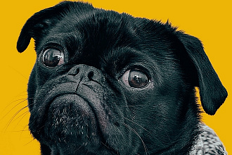 Анимированные Instagram Stories