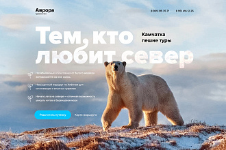 Адаптивный дизайн Landing page. Профессионально