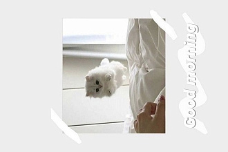 Истории в Instagram
