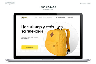 Landing-page