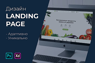 Дизайн Landing Page