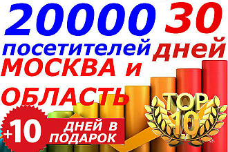 20000 уникальных посетителей из Москвы и МО. Качественный трафик