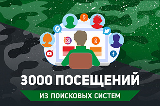 3000 посещений на сайт с поиска Яндекс или Google. По ключевикам