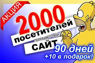 2000 посетителей в течение 90 дней от трастовой рекламной сети