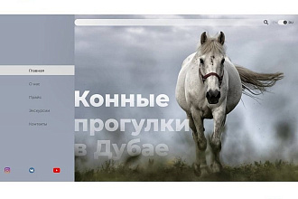 Помогу оформить ваш бизнес. Веб-дизайн и графический дизайн
