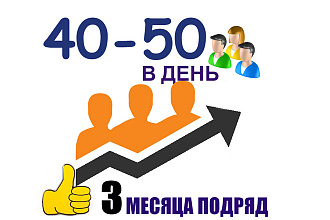 40-50 качественных посетителей в день в течение 3-х месяцев