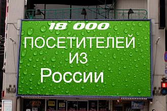 18000 Уникальных посетителей из России в течение 25 дней+Поведенческие