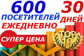 600 уникальных посетителей из России 30 дней. Качественный трафик