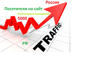 Посетители на сайт. 5000 уникальных посещений Трафик Россия Web Клики