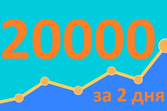 Трафик 20000 уникальных посетителей на сайт +70 ключевых слов