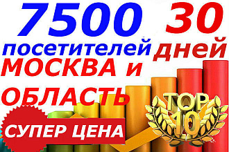 7500 качественных посетителей на 30 дней Москва и МО Уникальный трафик