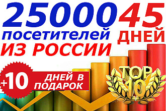 25000 уникальных посетителей из России на 45 дн. Дополнительный трафик