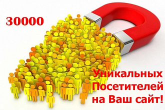 100-1000 посетителей на сайт ежедневно в течение 30 дней