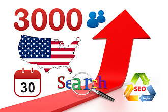 Поисковый трафик из США от 50 до 100 в сутки целый месяц