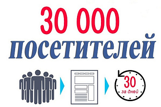 30 000 уникальных посетителей на сайт за 30 дней