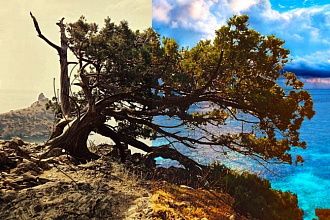Улучшение вида фотографии, добавление красочности