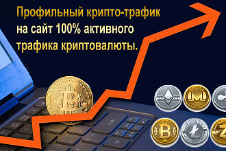 Профильный крипто-трафик на сайт 100% активного трафика криптовалюты