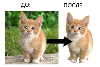 Удалю фон с фото