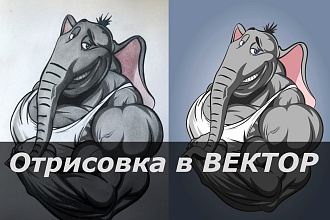 Отрисовка в вектор