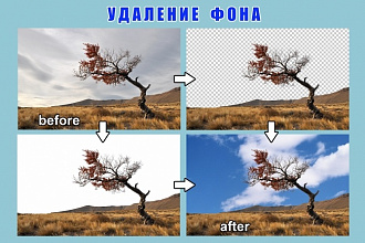 Удаление фона с ваших фотографий