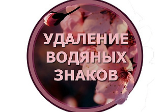 Удаление логотипа и водяных знаков