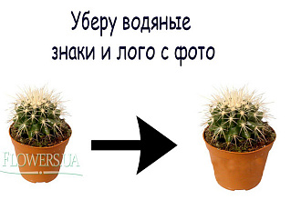Уберу водяные знаки и лого с фото