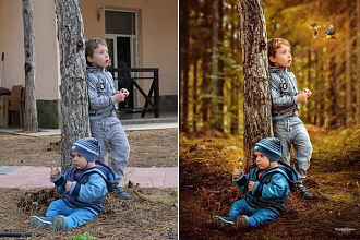 Полностью обработаю вашу фотографию