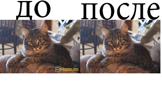Уберу водяной знак с фото