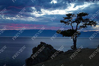 Водяные знаки