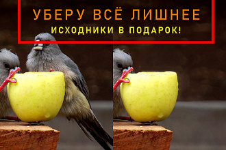 Удалю лишние объекты, людей и надписи с Ваших фото