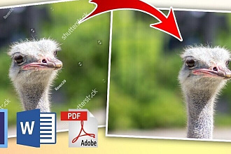 Удаление водяных знаков НА фотографии