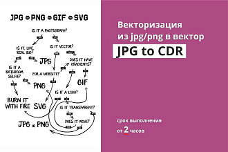 Векторизация и отрисовка в векторе. CorelDraw и AI