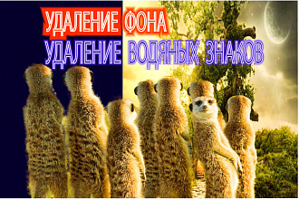 Удаление замена фона с 10 фото