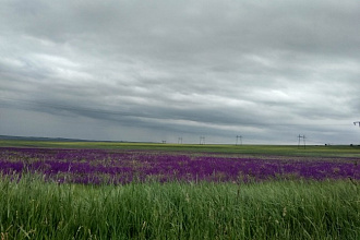 Сделаю цветокоррекцию фото