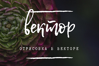 Отрисовка в векторе