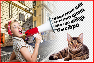 Качественное удаление фона. Для сайта, каталога. До 150 шт