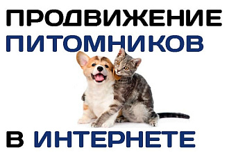 SEO продвижение сайта Питомника - Кошки, собаки и другие животные