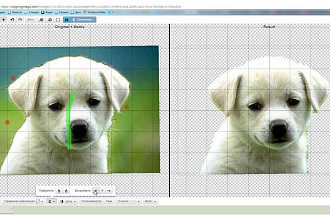 Вырежу фон на фото