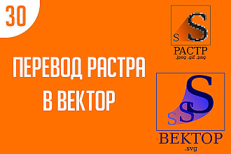 Переведу в вектор 30 изображений