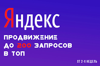 Быстрое продвижение в топ Яндекс до 200 запросов