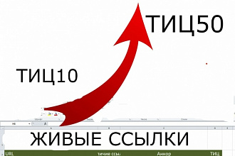 Размещение 450 вечных ссылок, открытых для индексации поисковиками