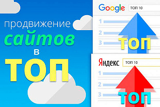 Продвижение информационного сайта в топ 10 Яндекс и Google